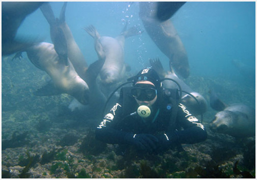 Buceo en Puerto Madryn