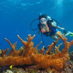 Bucear en Belice